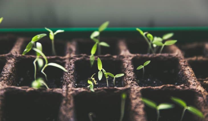 Here Are 4 Of The Most Sustainable Businesses in Calgary