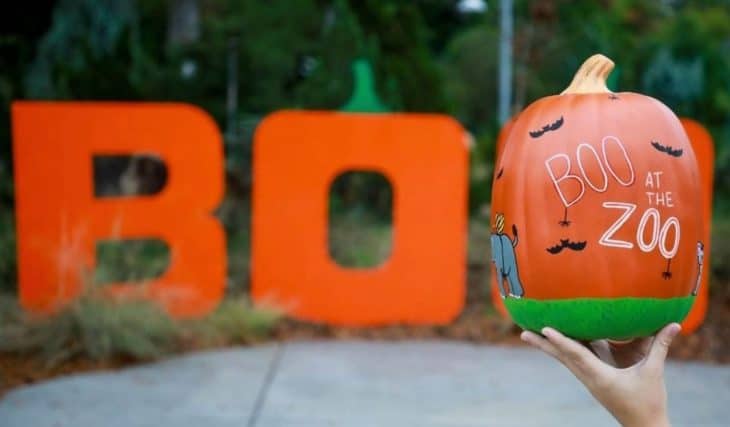 Boo At The Zoo Will Take Place Through October 30 At The Riverbanks Zoo