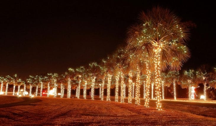 15 Things To Do This December In Charleston