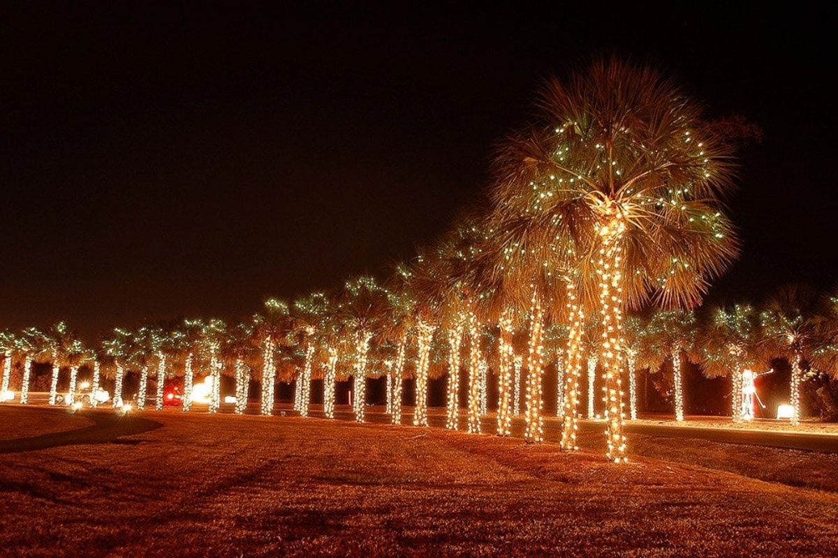 15 Things To Do This December In Charleston