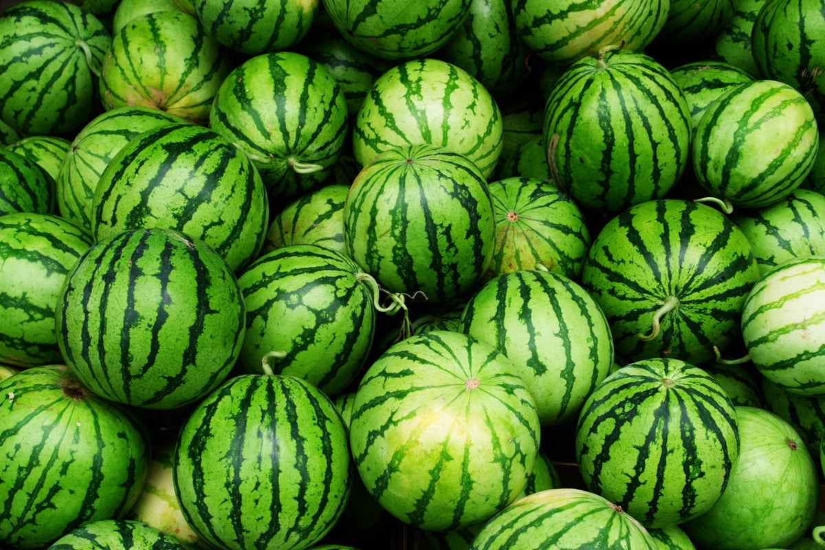 Don’t Miss This Year’s Watermelon Festival In Hampton County