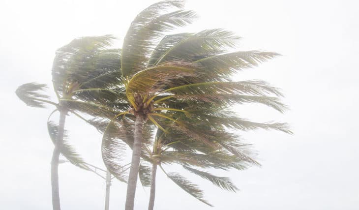 Here’s When Charleston Will Feel The Impact Of Hurricane Ian