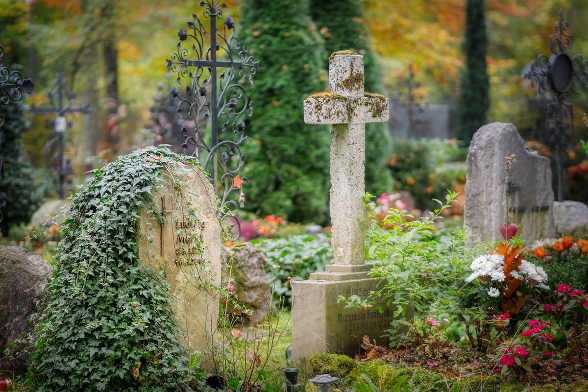 Cemetery with two overgrown tombstones