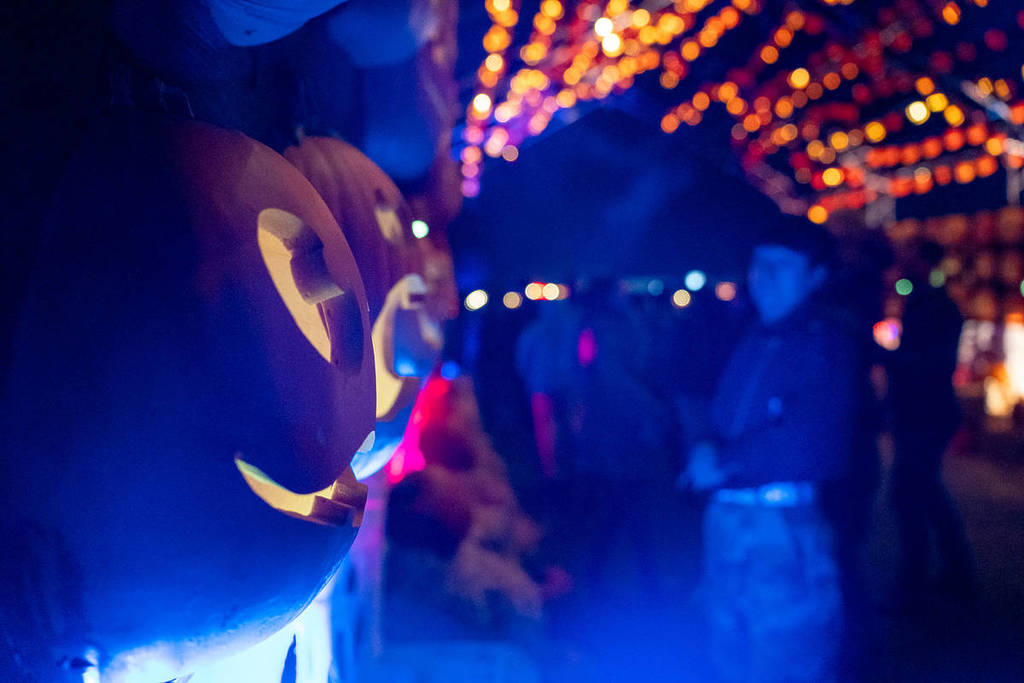 Pumpkins After Dark Is Still Serving All The Spooky Halloween Vibes This Fall But It Ends Soon