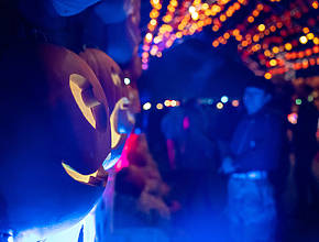 Pumpkins After Dark Is Still Serving All The Spooky Halloween Vibes This Fall But It Ends Soon
