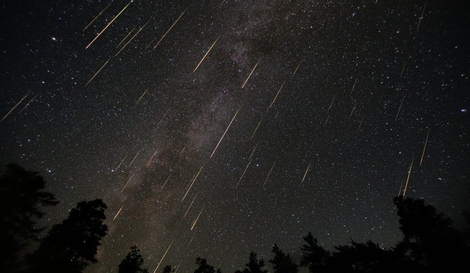 A Meteor Shower Will Light Up the Skies Over Chicago Tonight—Here&#8217;s Where to See it