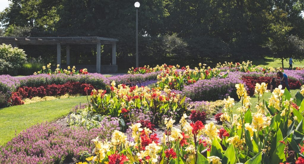 10 Celestial Secret Gardens Hidden In Chicago