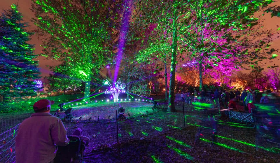 Morton Arboretum Announces Return Of Its Popular Light Show For An 11th Year