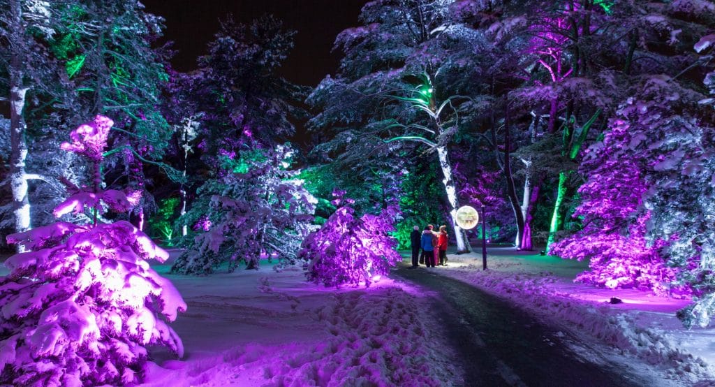 40 Magical Things To Do In Chicago This December
