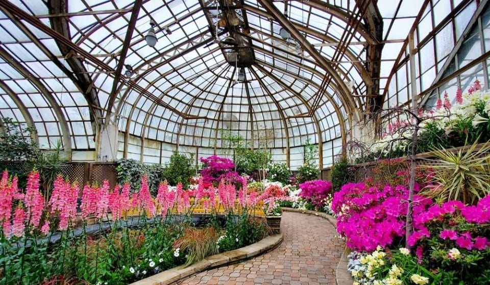 Lincoln Park Conservatory Will Bring Spring Flower Show &#8220;Pretty In Pink&#8221; To A Close On Mother&#8217;s Day