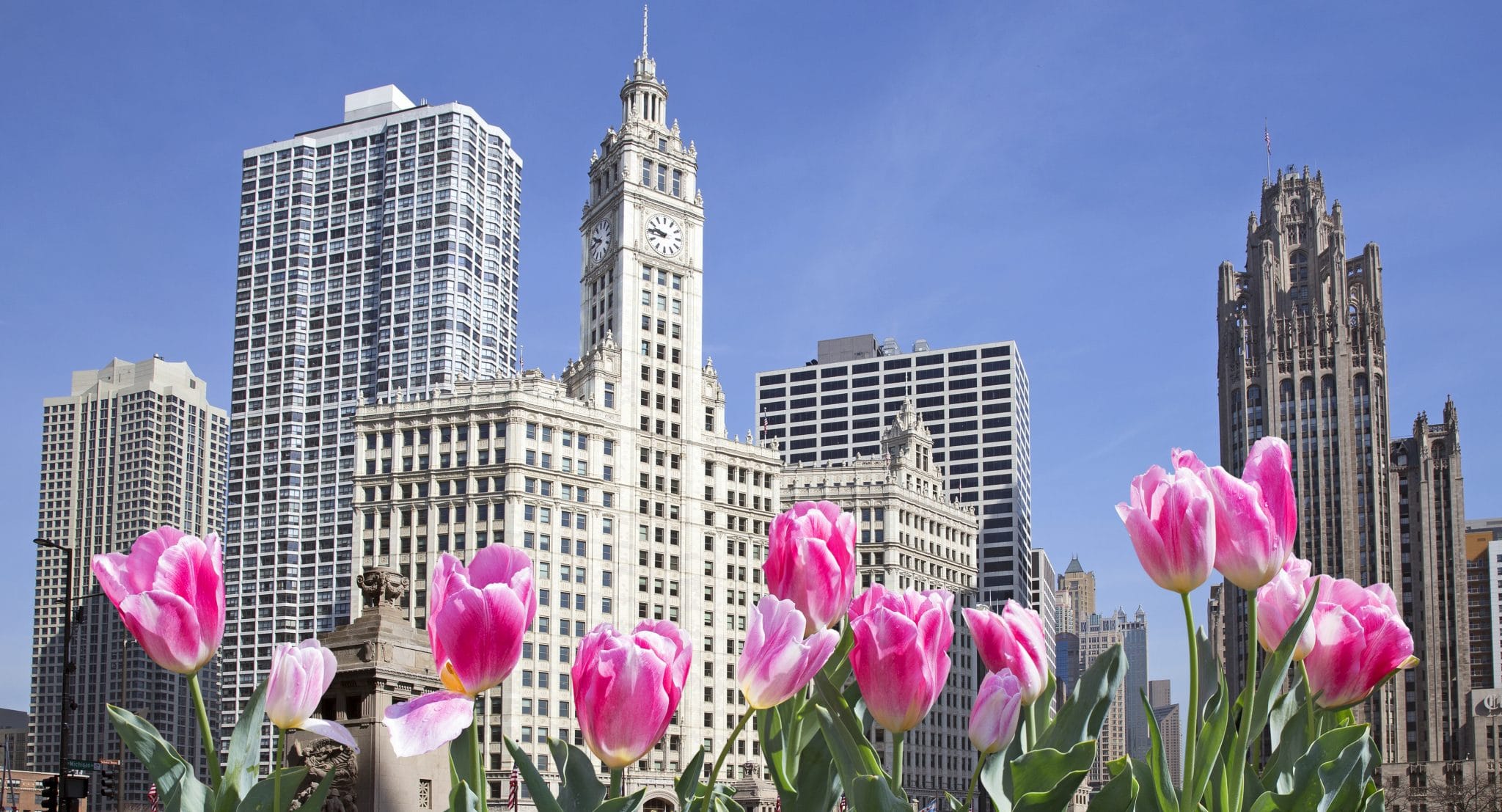 The Best Things To Do In Chicago In April This Year 2025 Guide