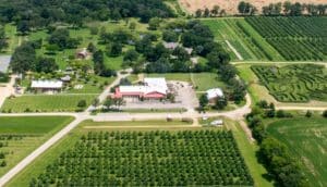 Este Honeycrisp Fest de Illinois vuelve este fin de semana, con el único laberinto de manzanos de Estados Unidos y un jardín de flores de 43.000 pies cuadrados
