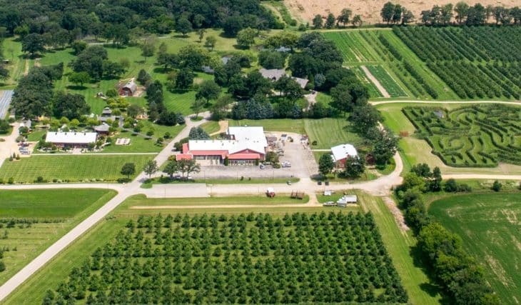 This Illinois Honeycrisp Fest returns this weekend—featuring America’s only apple tree maze and a 43,000 sq. ft. flower garden