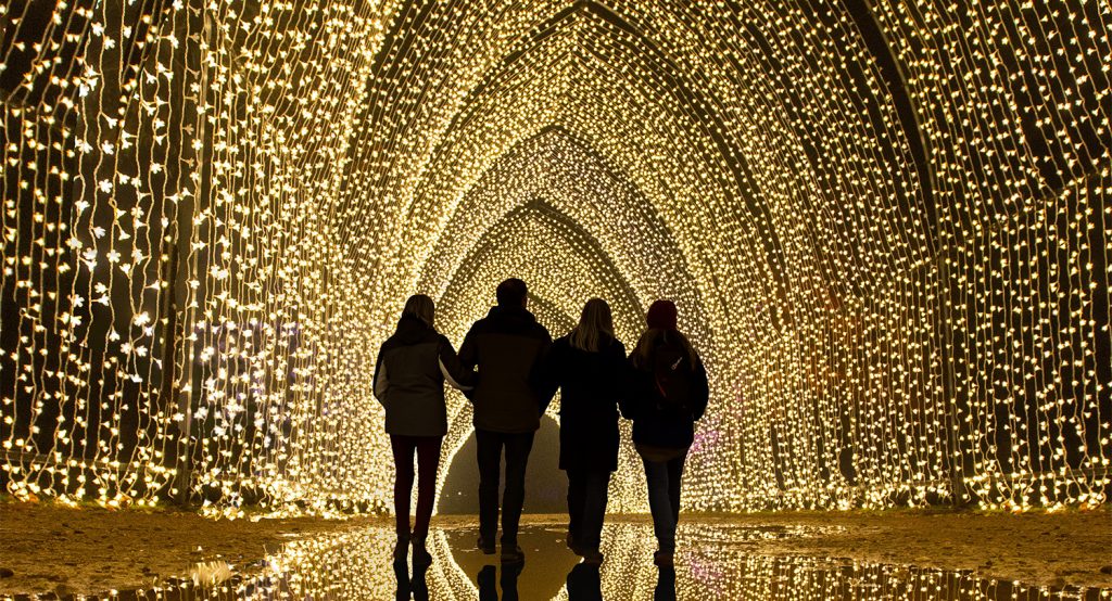 Chicago Botanic Garden’s Enchanting ‘Lightscape’ Experience Will Return This November