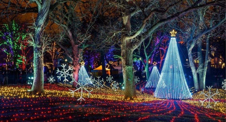 Chicago s Beloved ZooLights Experience Has Returned To Lincoln Park Zoo 
