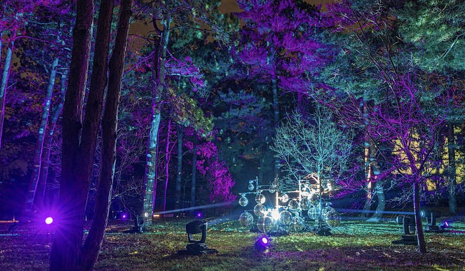 What’s New at the Morton Arboretum This Winter: Guided Yoga, Therapy Walks, and More