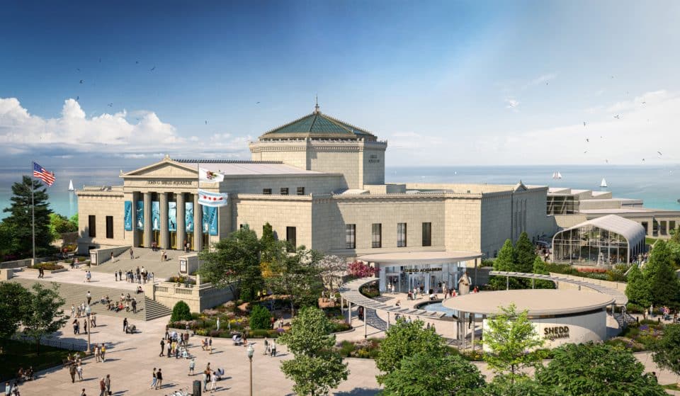 Shedd Aquarium Has Released More Details And Renderings Of Its $500 Million Renovation Project