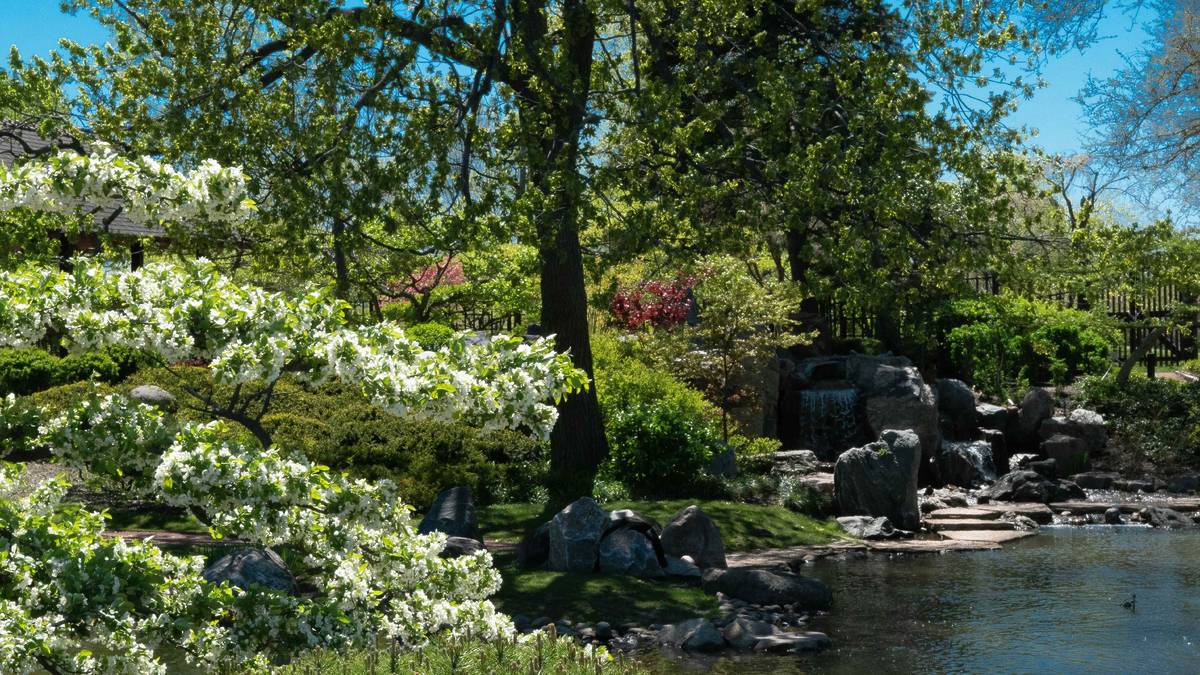 A view of botanical plants by the water under the blue sky in Garden of the Phoenix