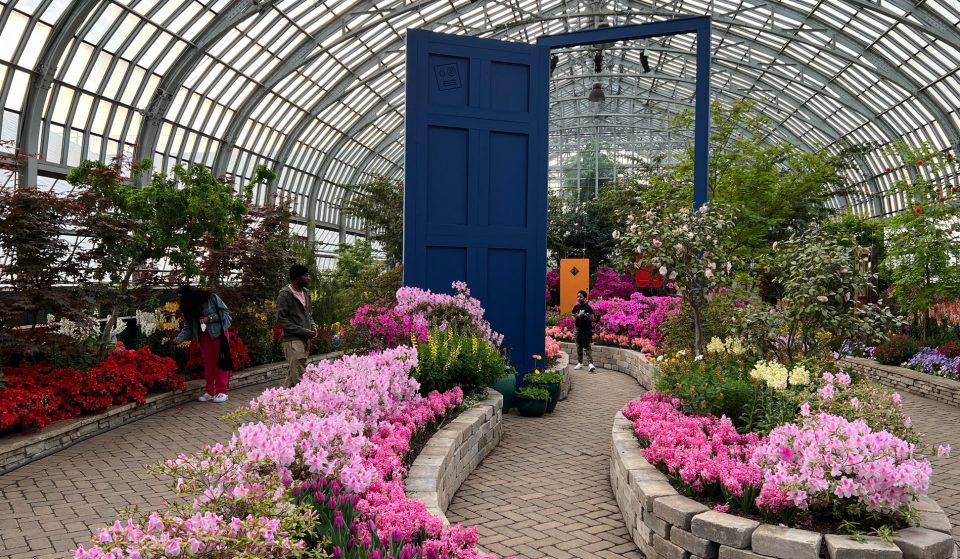 Walk Through Giant Doorways At Garfield Park Conservatory’s New Spring Flower Show