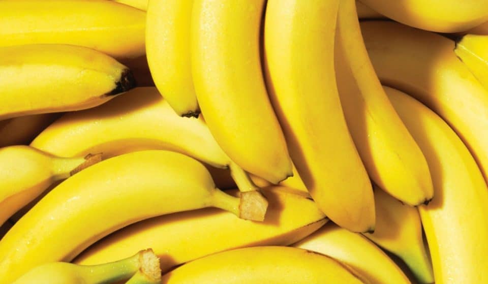 A Massive 70K Banana Display In The Suburbs Officially Broke a Guinness World Record