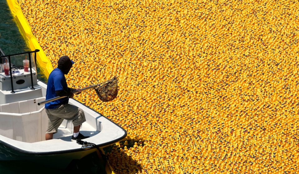 For its 21st year, America’s second-largest duck race takes over the Chicago River this Thursday as 85,000 rubber ducks splash down for a new Chevy Trax