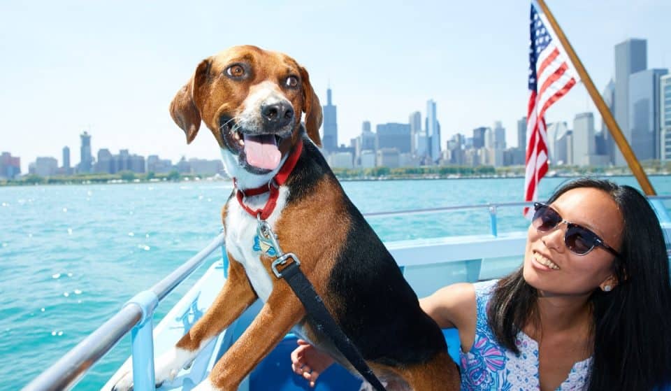 Mercury&#8217;s Iconic Canine Cruise Is Back This Weekend