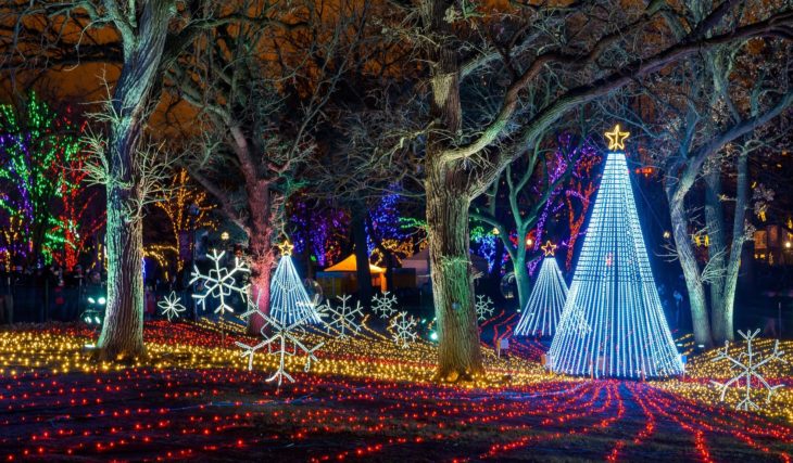 Lincoln Park ZooLights vuelve estas fiestas, ¡y las entradas ya están a la venta!