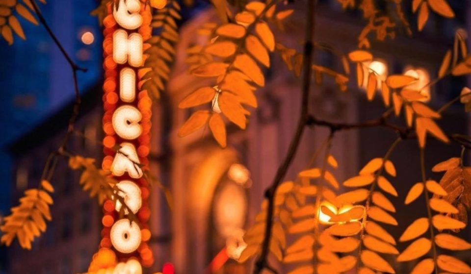 It’s Officially Peak Fall Foliage In Chicago This Week