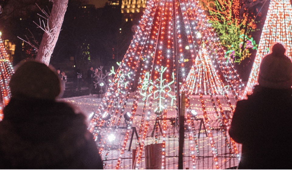DJs & Pop-Up Bars Will Transform Lincoln Park Zoo Tomorrow Night For An Exclusive After-Hours Extravaganza