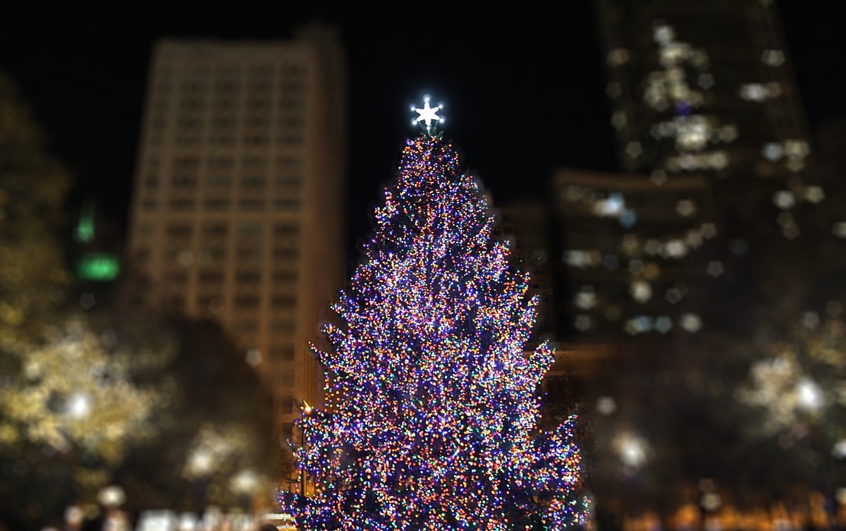10 Majestic Christmas Trees To See In Chicago This Season Secret Chicago