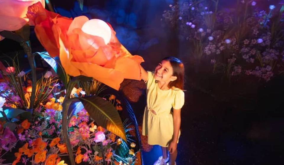 30+ Fun Things To Do With Kids In Chicago This Winter