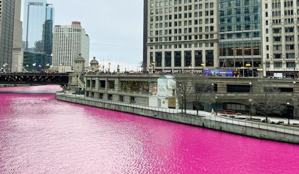 The City of Chicago Dyes All 156 miles Of The Chicago River Pink To Celebrate The Arrival Of Spring