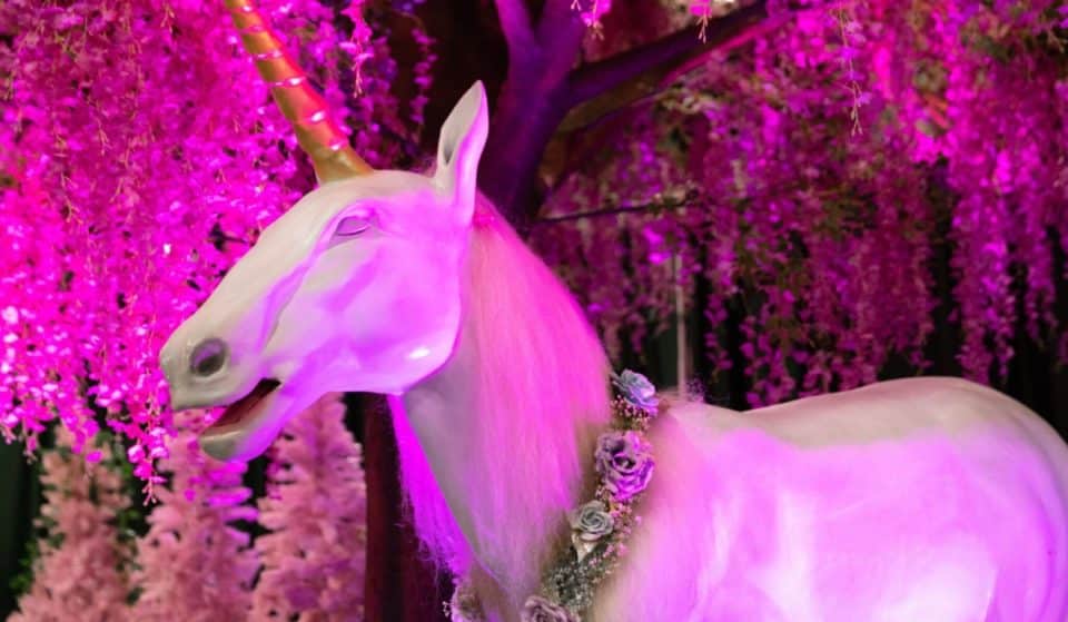 A Whimsical Unicorn World Pop-Up Is Coming To Navy Pier This Friday For A Kid-Friendly Experience