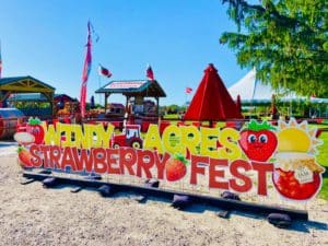 Enjoy All The Strawberries At An Illinois Festival This June