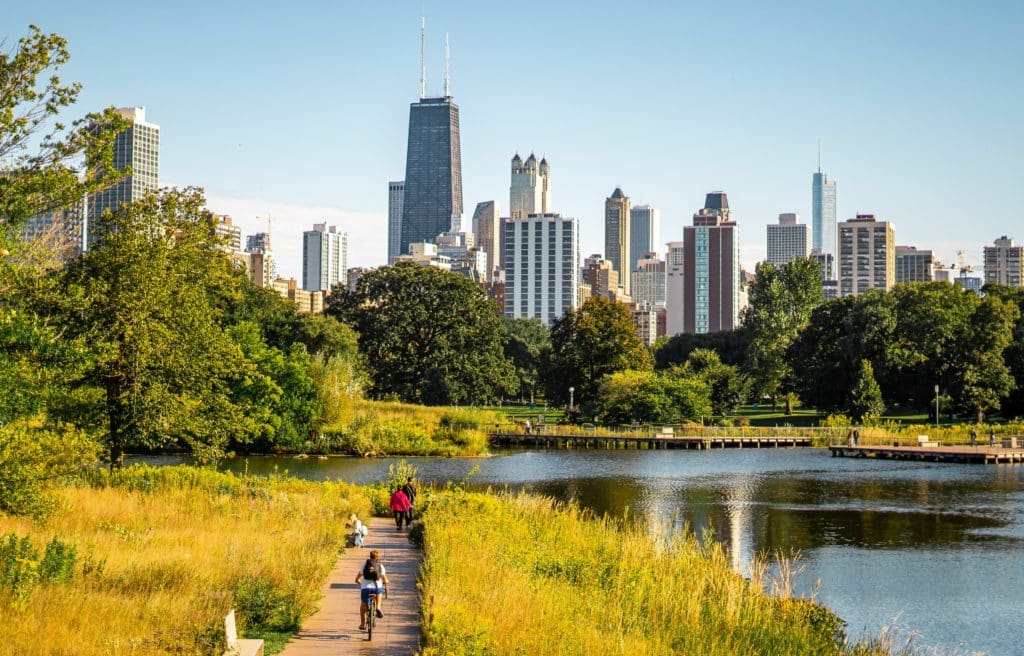Image showing people in a park in Chicago during summer with the Chicago skyline visible in the background