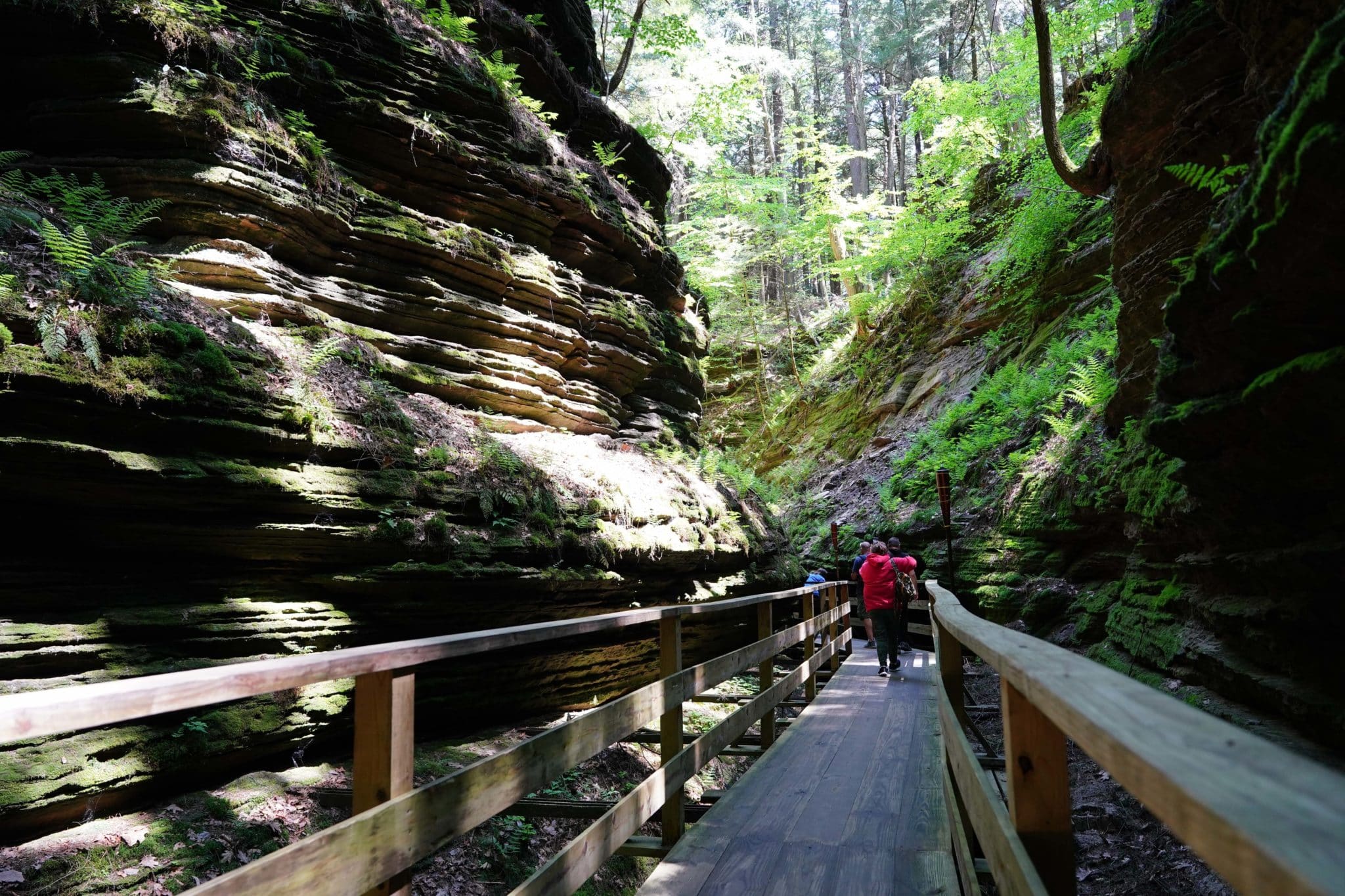 Stunning Trails For Hiking Near Chicago This Fall
