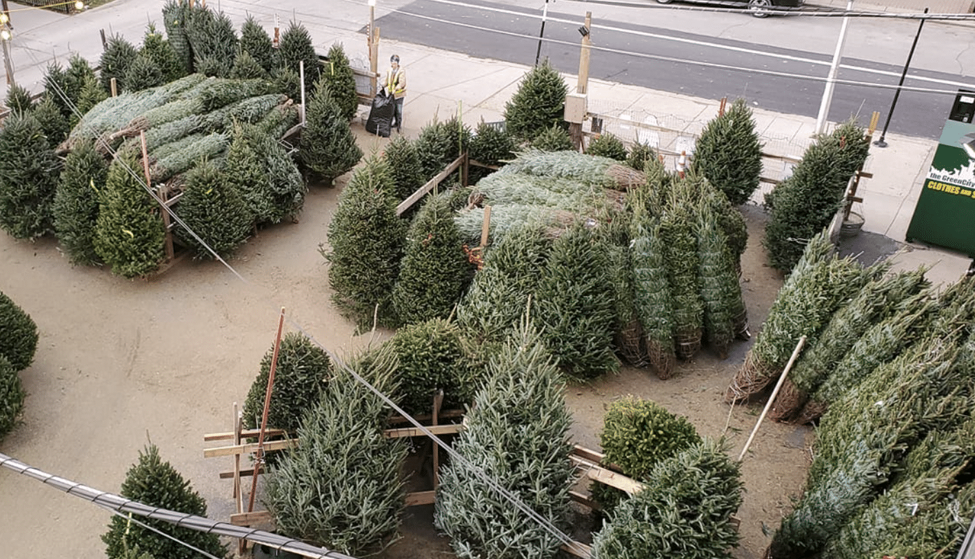 Here Are The Best Christmas Tree Farms Near Chicago (2023)