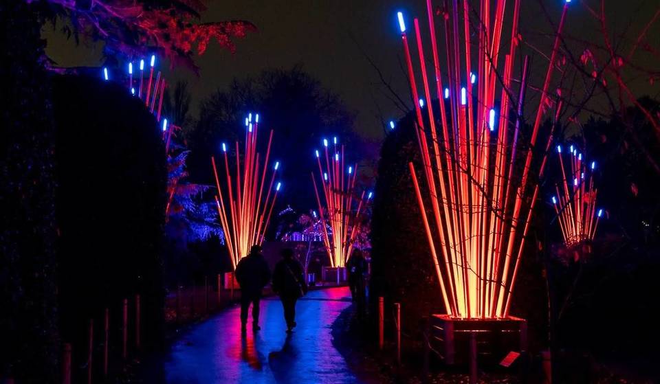 Lightscape Is Leaving Chicago Soon — Don’t Miss The Chicago Botanic Garden’s Glowing Winter Adventure