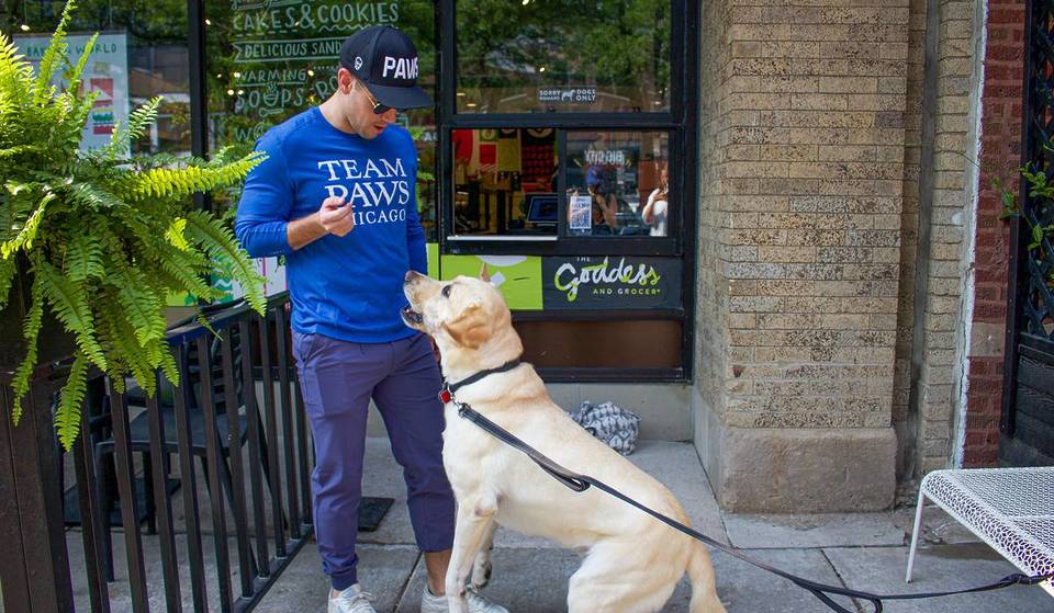 PAWS Chicago pone la primera piedra de un enorme «Rescue Ranch» de 20 acres en los suburbios del noroeste