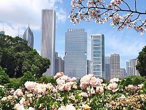 5+ Amazing Things To Do In Chicago This Weekend