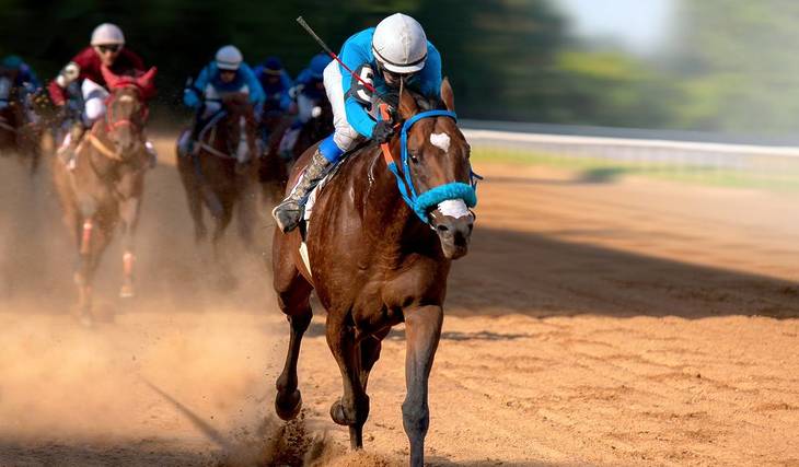Derby Day 2026: Your Guide to the Best Kentucky Derby Events in Chicago
