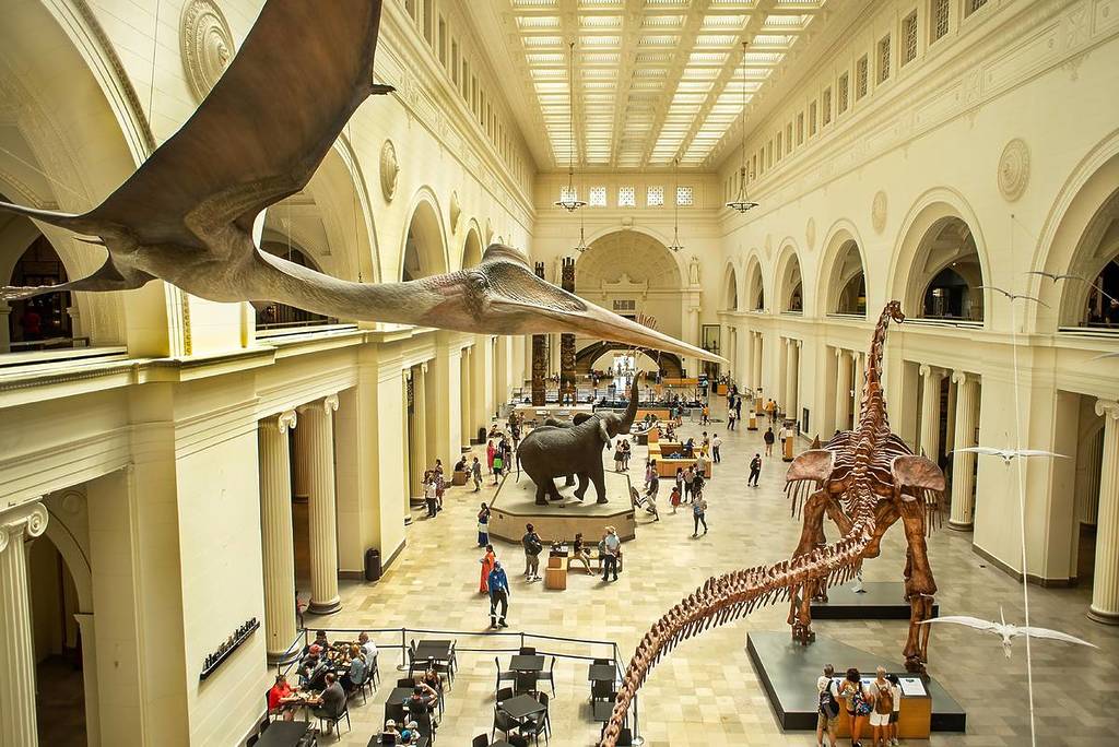 Field Museum Interior