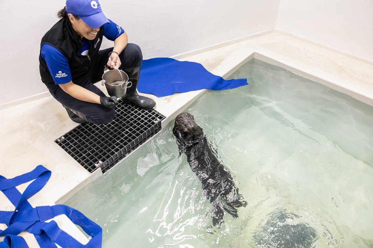 Otter 937 and Shedd staff