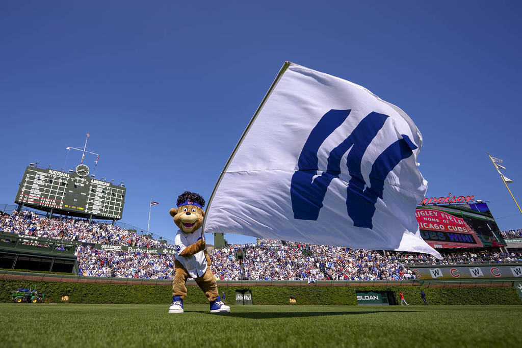 The Chicago Cubs mascot, Clark the Cub, proudly runs across the field at Wrigley with the iconic white
