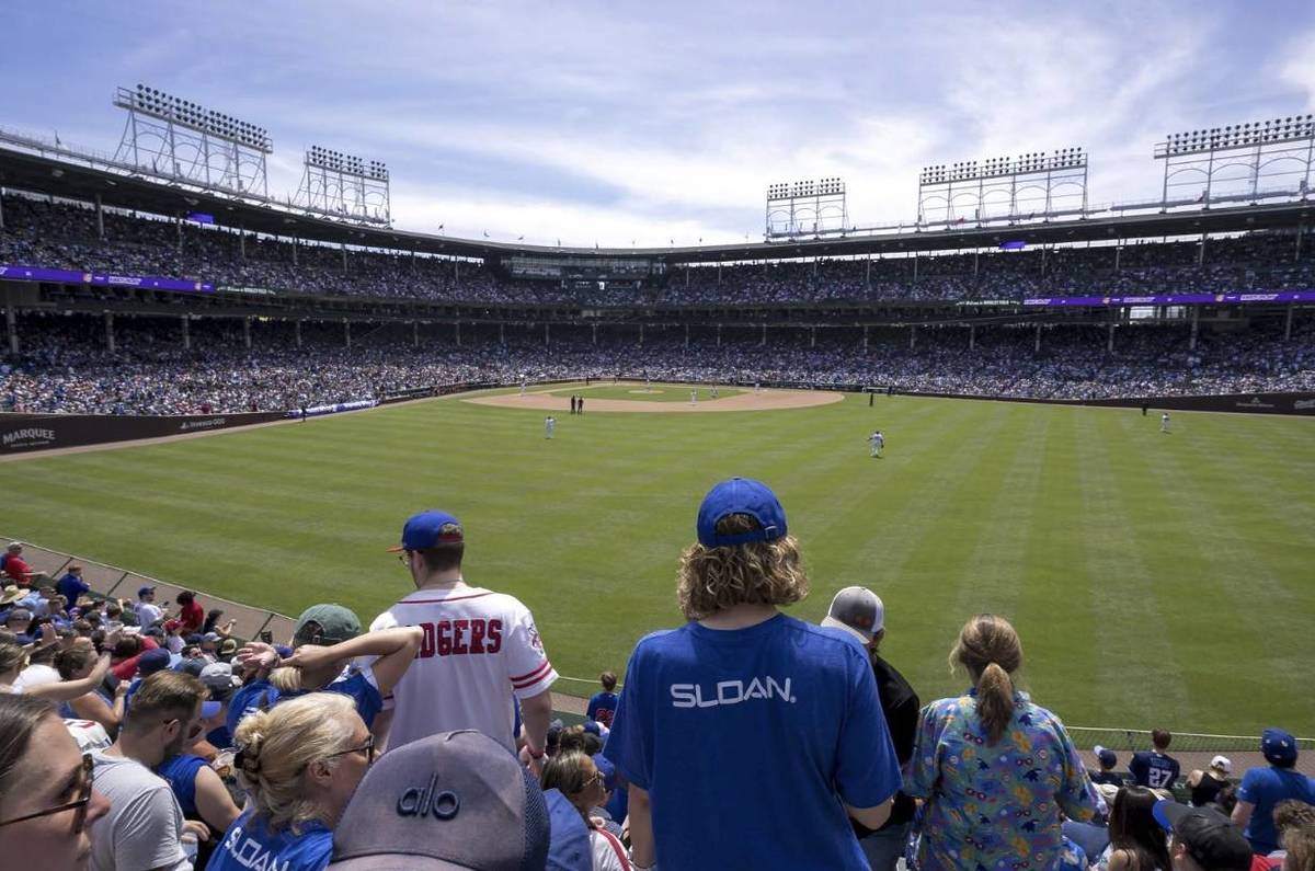 A wide view of Wrigley Field captures the energy of a game day. Fans fill the iconic bleachers, many in Cubs jerseys and caps, chatting and cheering.