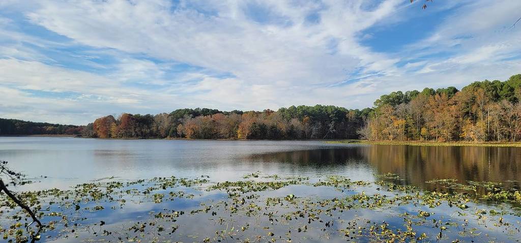 Lake Glendale in Illinois in the fall