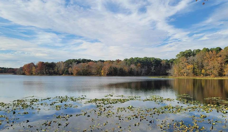 This Campground in Illinois Was Named Best in the Midwest—It’s Only $10 a Night