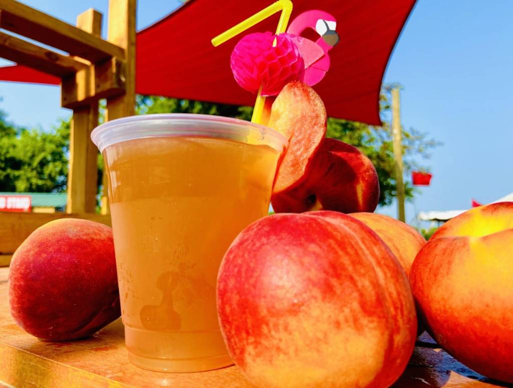 Windy Acres Farm peach festival