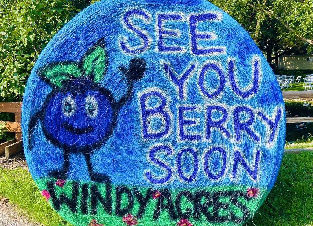 Cartel del Festival del Arándano de Windy Acres Farm
