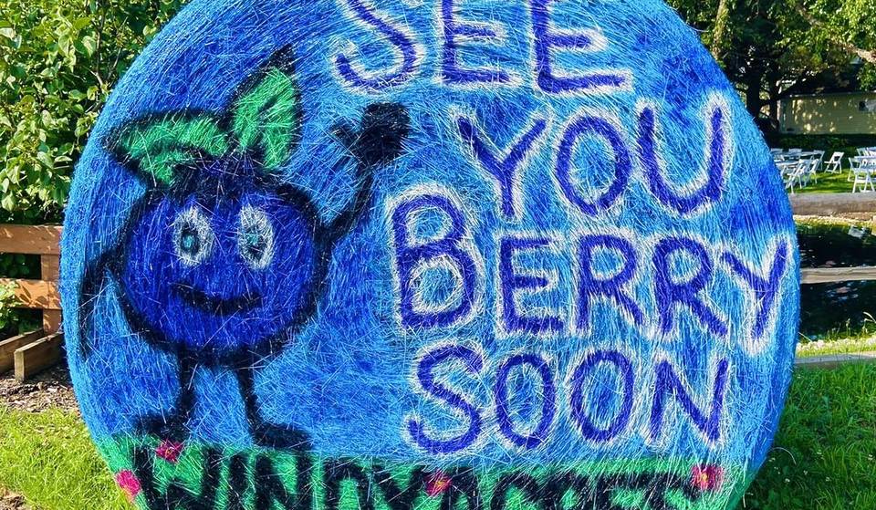 The Biggest Blueberry Festival in Illinois is Happening Next Month